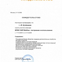 SAP Webflow