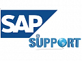 Поддерживаем работоспособность SAP с помощью платформы APM-мониторинга